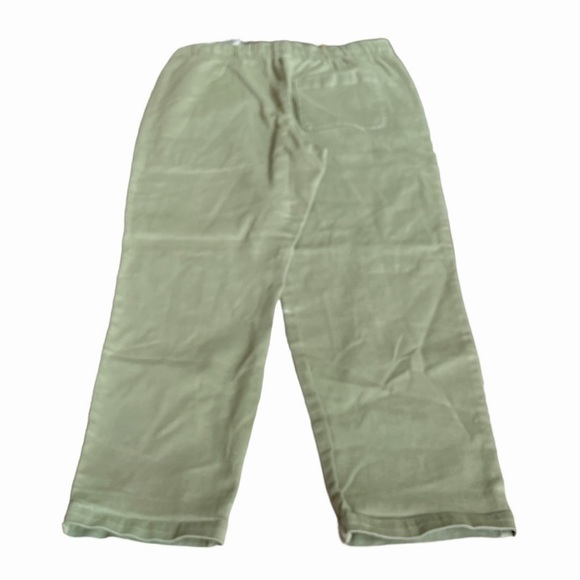 Everlane The Easy Pant Straight Leg Jeans Lily Pad Green Size Medium 34/36 - Picture 2 of 9